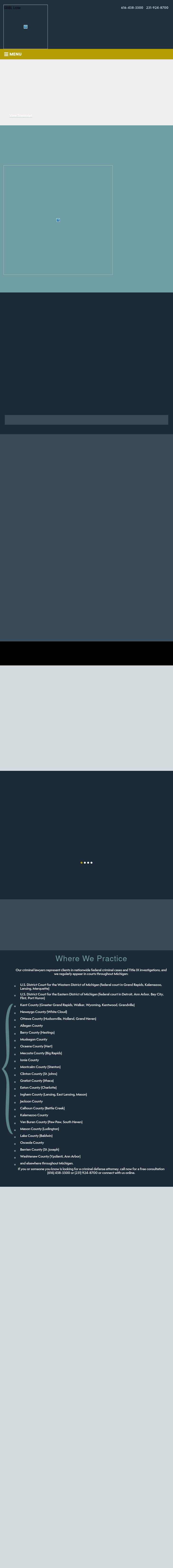 Springstead Bartish & Borgula Law, P.L.L.C - Grand Rapids MI Lawyers